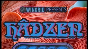 Wingrid pres. War • Hâdzen • Sleet