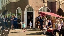 viñedo • spanische & deutsche Weine