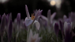 Nature & You - deine Pause vom Alltag