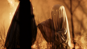 ECHOES. Skin Contact