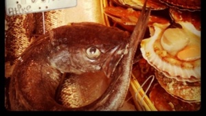 Kochkurs: I like fish