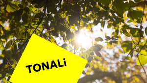 PAUSE — Quartierskonzert TONALi Festival 2026