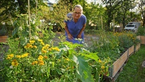 Workshop Wildpflanzenbestimmung