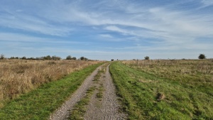 Wanderung: In die Franzigmark