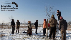 Intensivkurs Obstbaumschnitt (Jungbaum) bei Darmstadt