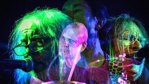 THE BEVIS FROND - Live 2026