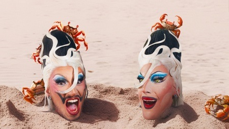 WiGZ - Pride Edition