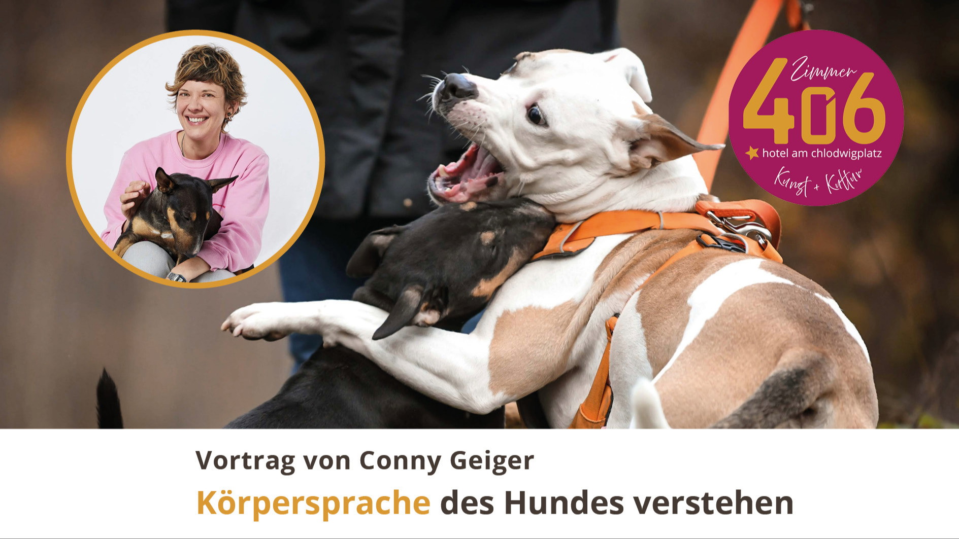 Körpersprache des Hundes verstehen