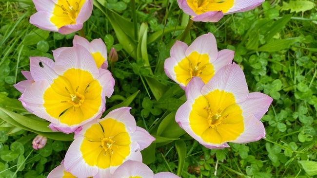 Familienzeit am Samstag "Frühlingserwachen"