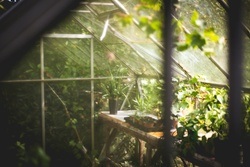 The Greenhouse