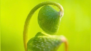 Stille Zwischenräume