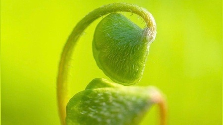 Stille Zwischenräume