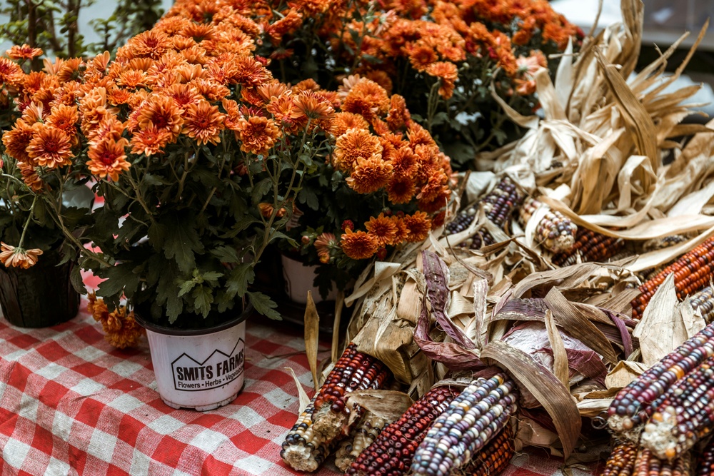 Herbstmarkt auf Schloss Paffendorf