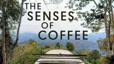 The Senses of Coffee