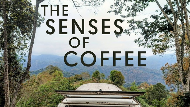 The Senses of Coffee