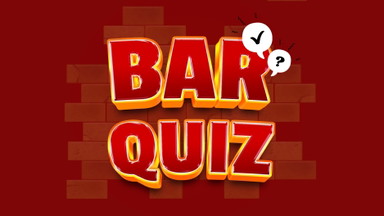 BAR QUIZ im Baergarten