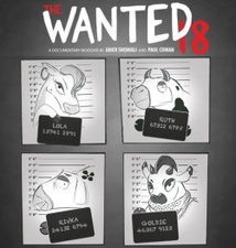 The Wanted 18