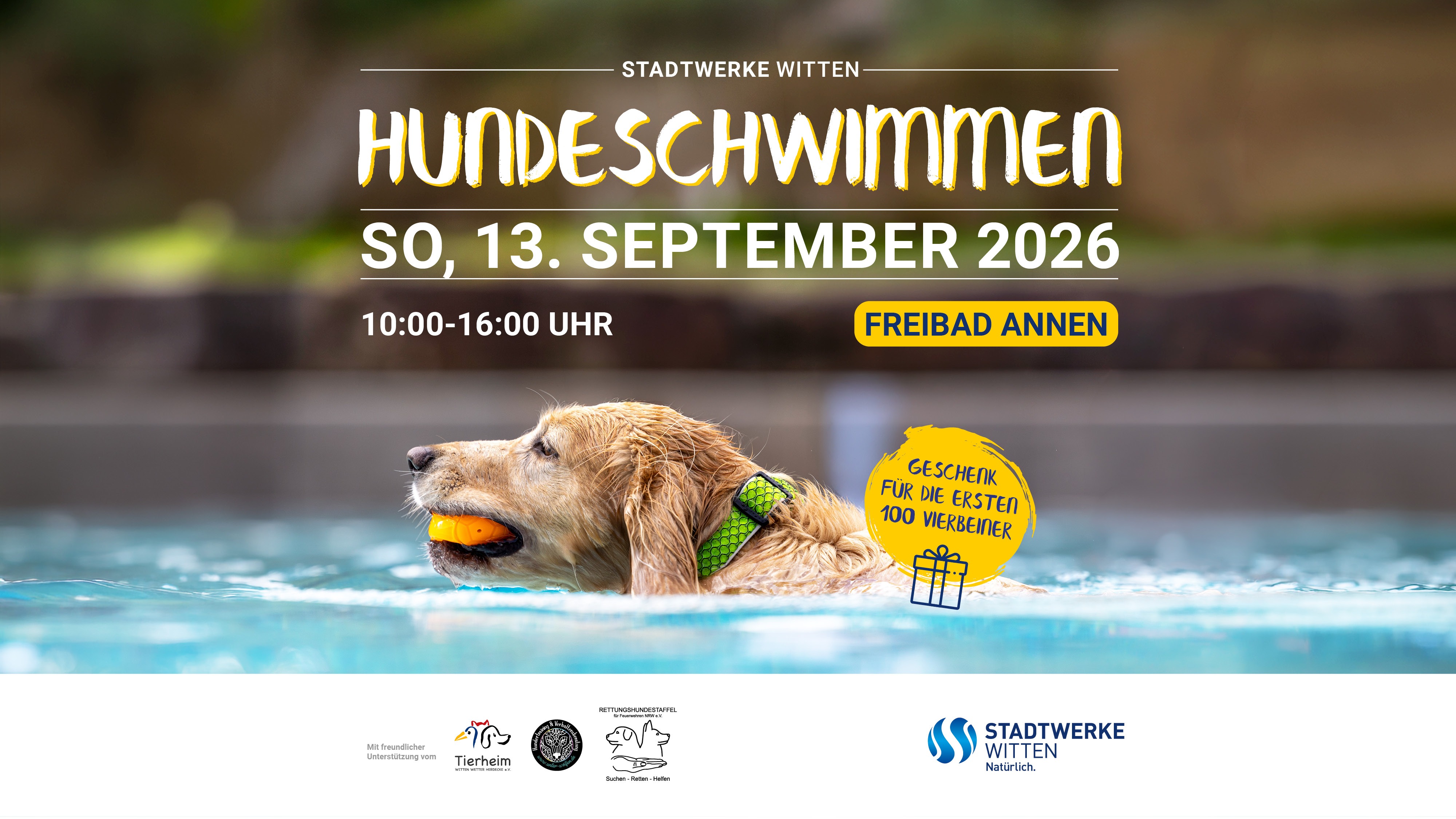 Hundeschwimmen im Freibad Annen