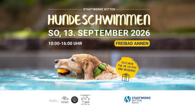 Hundeschwimmen im Freibad Annen