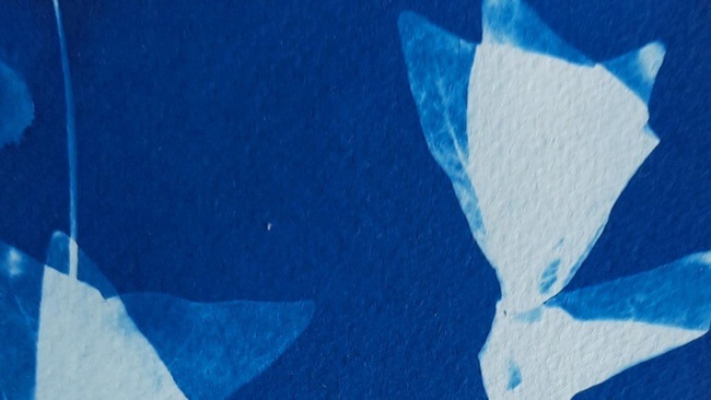 Ausstellung: Angelika Bruns und Inge Koepsell - "Zusammenspiel"