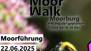 MoorWalk