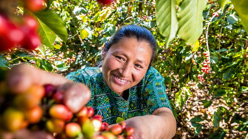 Walk & Talk Kaffee – Mit fairem Kaffee durch globale Zusammenhänge