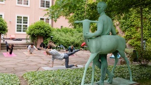 SOMMER IM GRASSI - SUNDAY-FLOW: YOGA IM REHGARTEN