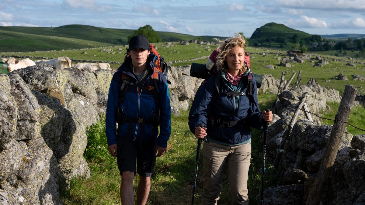 Die Camino Therapie