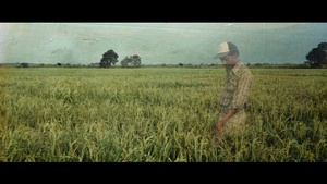 Panorama: I Dreamed His Name