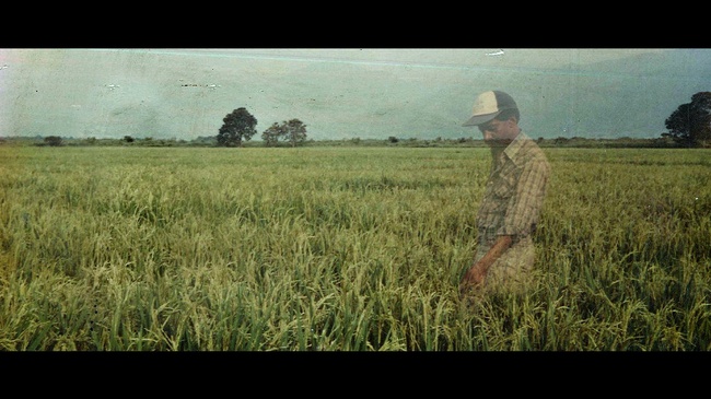 Panorama: I Dreamed His Name