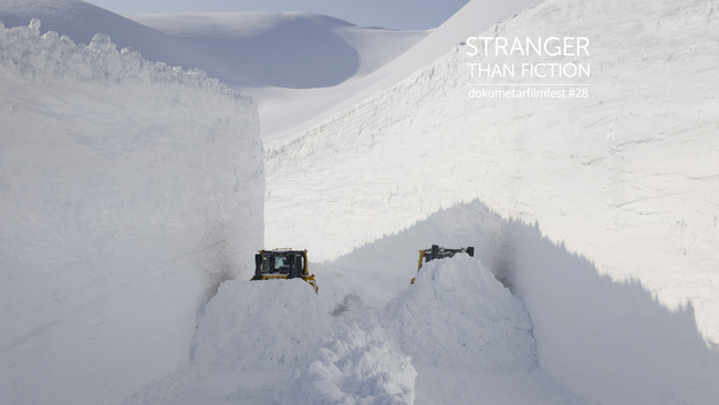 Melt | Stranger Than Fiction