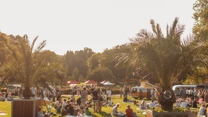 Parkvibes