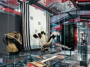 Naga Land. Stimmen aus Nordostindien