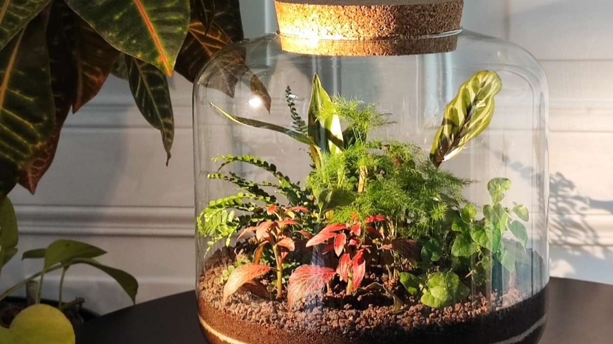 Dschungel im Glas - Workshop