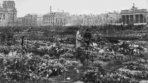 Kartoffeln, Kühe, Kalter Krieg - Eine andere Geschichte des geteilten Berlins