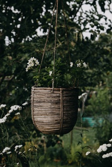 Biosphären-Woche: Gartendekoration selbst gemacht
