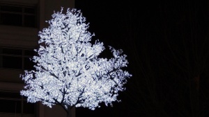Adventswanderung von Rodenkirchen zum Hafen-Weihnachtsmarkt