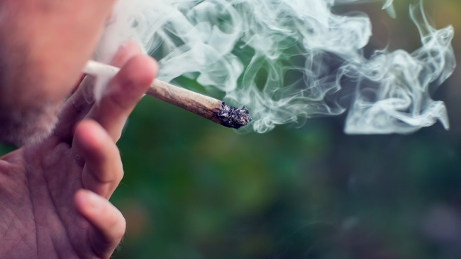 Wissenschaft im Rathaus | Wer sind die Verlierer der Cannabislegalisierung und was könnte zu ihrem Schutz getan werden?