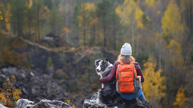 Unterwegs auf vier Pfoten (Hundewanderung)