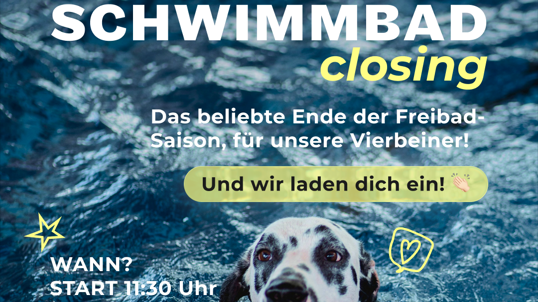 🌊 SCHWIMMBAD CLOSING