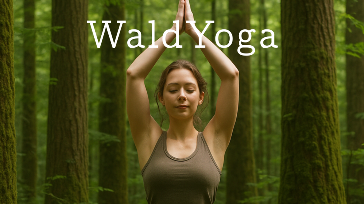 WaldYoga - Verbinde dich mit der Natur und dir selbst