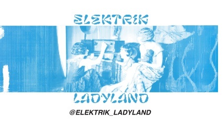 ELECTRIK LADYLAND