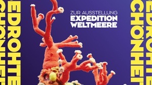 Studio Bonn – Gefährdete Schönheit: Wie können wir die Weltmeere besser schützen?