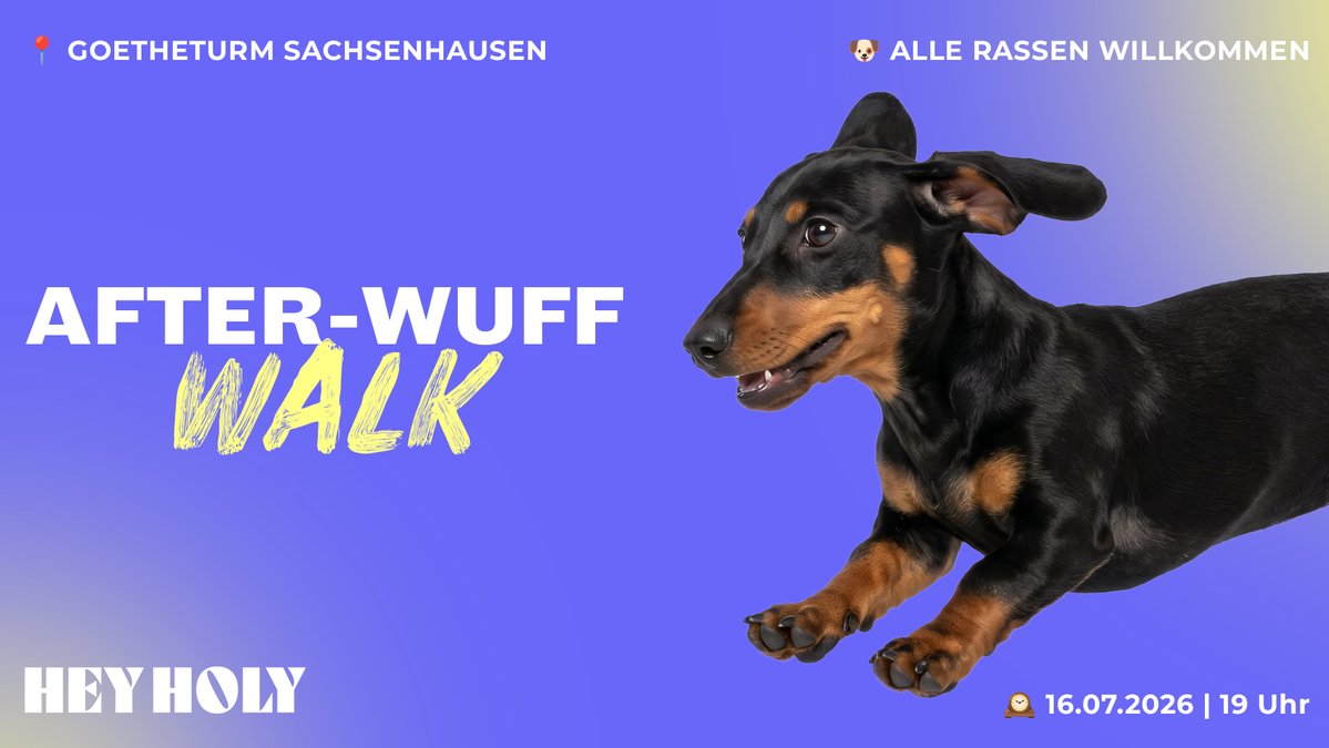 HEY HOLY After-Wuff Walk