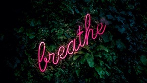 Conscious Connected Breathwork & Kakao – Ein Nachmittag für dich und deinen Atem