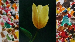 Galerie