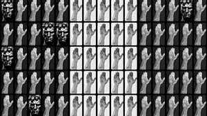 Artistic Reading Room: If a Flower Bloomed in a Dark Room, Would You Trust It?