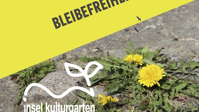 INSEL Kulturgarten 2026 / Bleibefreiheit