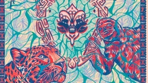 Finissage: "Colombia - Tejido Vivo"