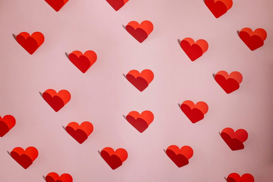 Bi+sexual Speeddating